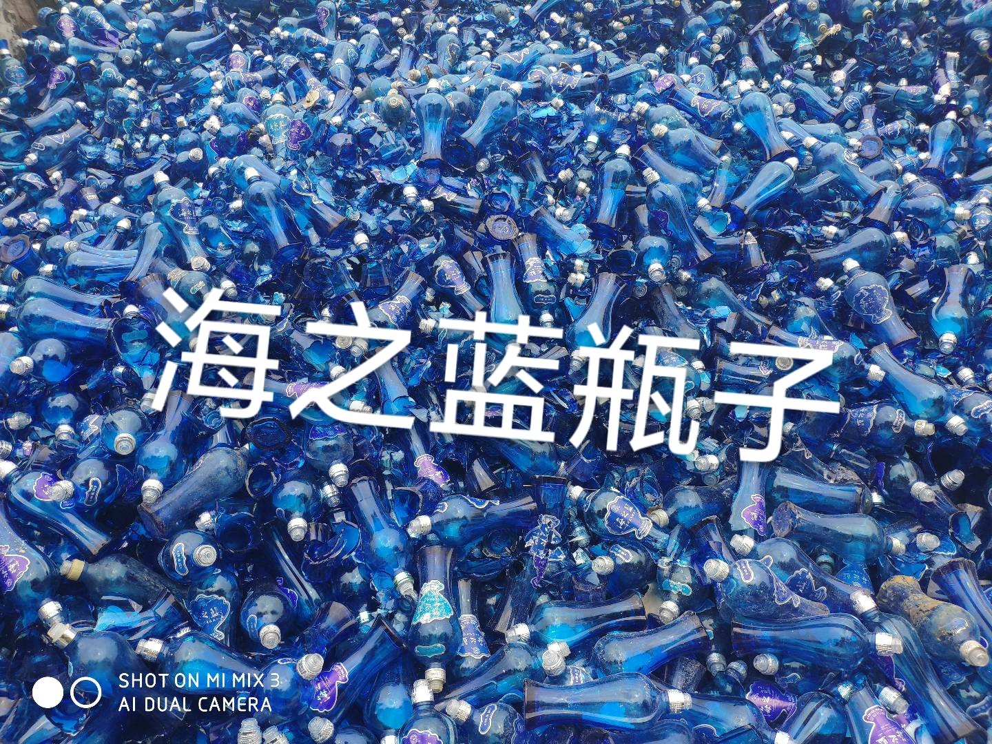 江阴海之蓝瓶回收
